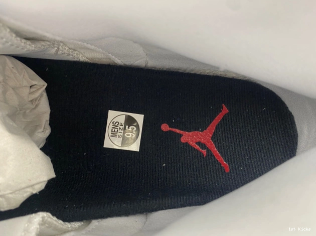 Jordan 12 Air Taxi CT8013-162 Red 0811